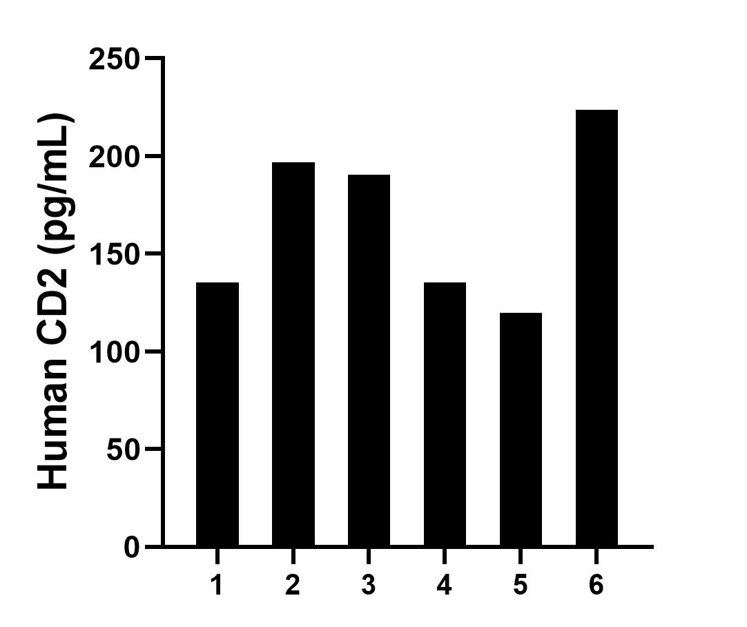 Serum of six individual healthy human donors was measured. The human CD2 concentration of detected samples was determined to be 167.0 pg/mL with a range of 119.9 - 223.9 pg/mL.